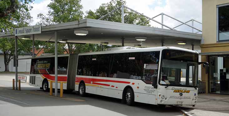 Tasmanian Redline Bonluck CityStar Artic 121